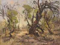 ADRIANUS VANDERBYL (Australia, Working c.1969-1974)