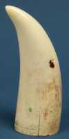 SCRIMSHAW TOOTH - 2