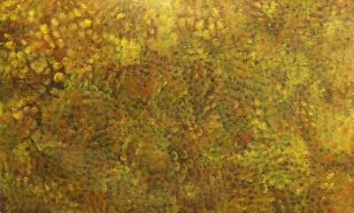 JOSIE PETRICK KEMARRE (Australia, Aboriginal, c.1955- )