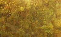 JOSIE PETRICK KEMARRE (Australia, Aboriginal, c.1955- )