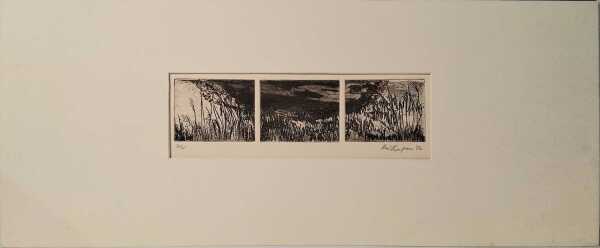 ANNE THOMPSON