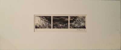 Anne Thompson