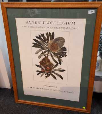 Banks' Florilegium