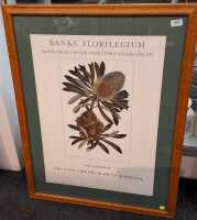 BANKS' FLORILEGIUM