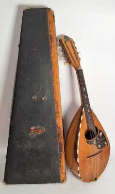 Mandolin
