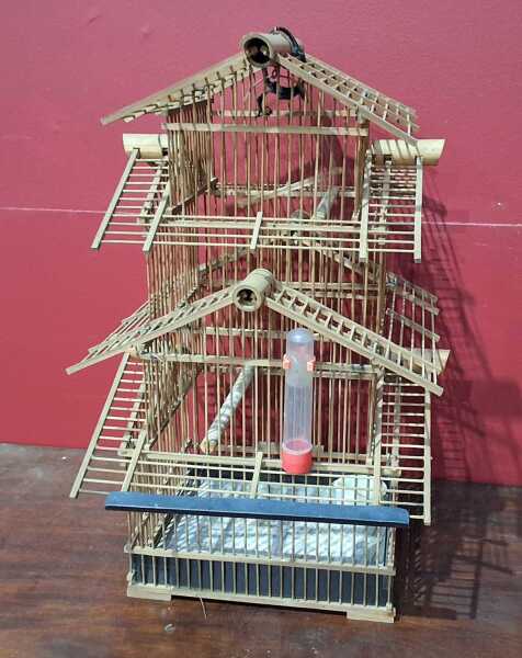 BIRD CAGE