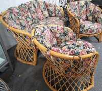 CANE SUITE - 2