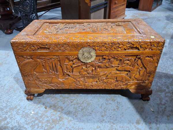 CAMPHORWOOD TRUNK