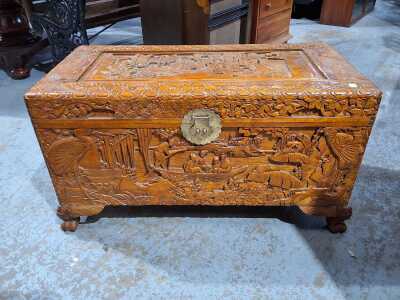 Camphorwood Trunk