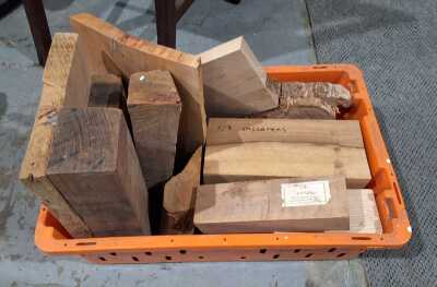 303 · TIMBER STOCK