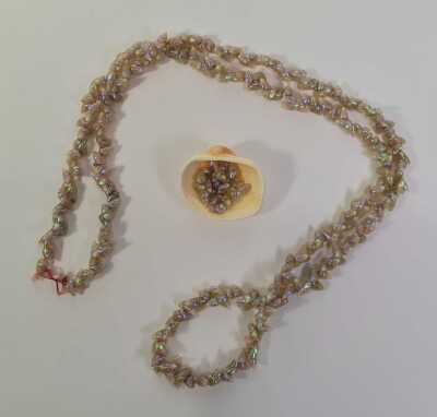 Shell Necklace