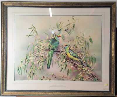 1114 · IAN ROBERTS PRINT