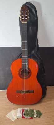 Acoustic Guitar
