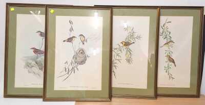 1372 · AVIAN PRINTS