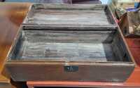 TRUNK - 2