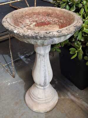 Bird Bath