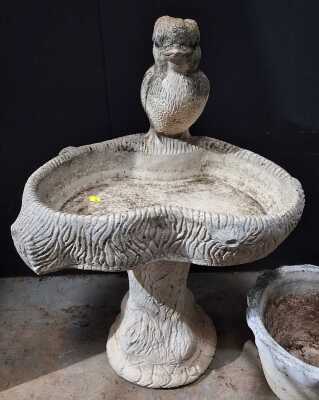 Bird Bath