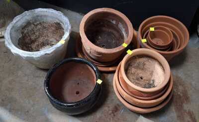 433 · GARDEN LOT