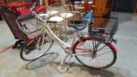 LADIES BICYCLE