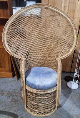 Peacock Chair
