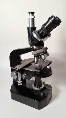 Nikon Microscope