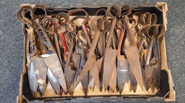 SHEARS