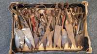 SHEARS
