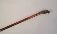 WALKING STICK - 2