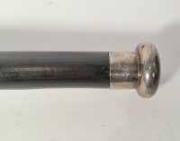 WALKING STICK