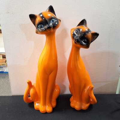 Salt & Pepper Cats