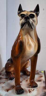 BOXER DOG