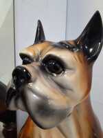 BOXER DOG - 3
