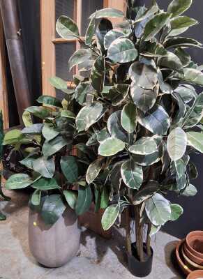 FAUX PLANTS