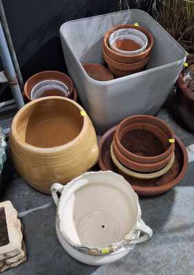 Garden Lot