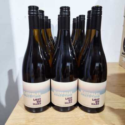 Amato Vino/ Blue Poles Lost On Mars