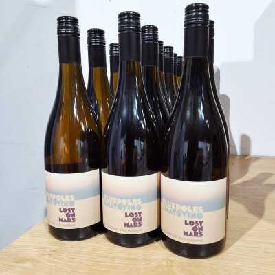 Amato Vino/ Blue Poles Lost On Mars