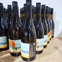AMATO VINO SKINNYDIP!