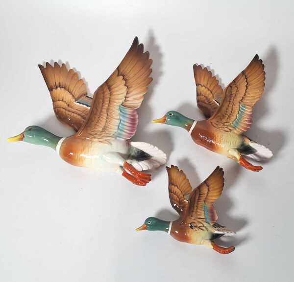 WALL DUCKS