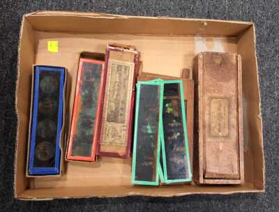 Glass Slides