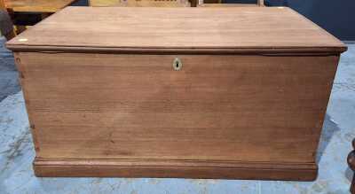 Cedar Trunk