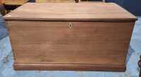 CEDAR TRUNK