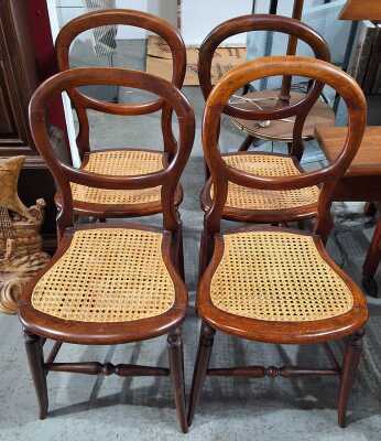 Dining Chairs