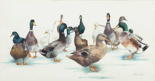 URSULA MARY (MARY) MILTON (Australia, 1928-)