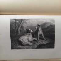 THE LANDSEER GALLERY - 4