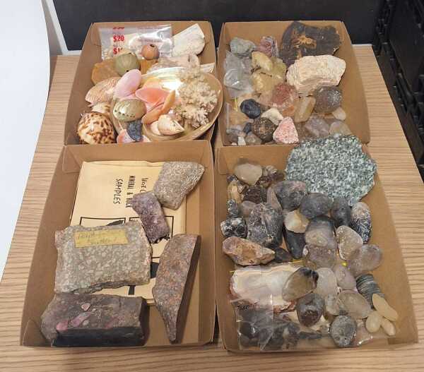 MINERALS & SHELLS