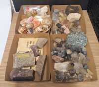 MINERALS & SHELLS