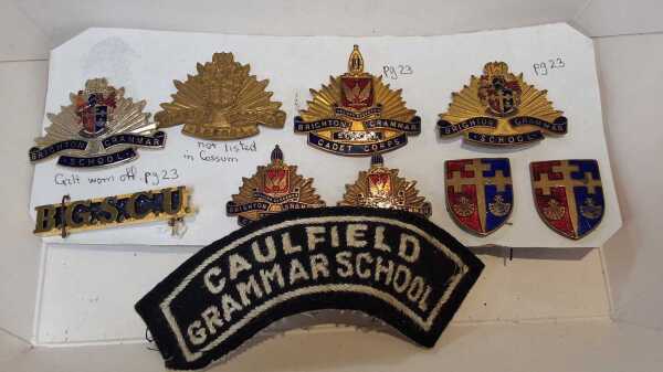 SCHOOL BADGES