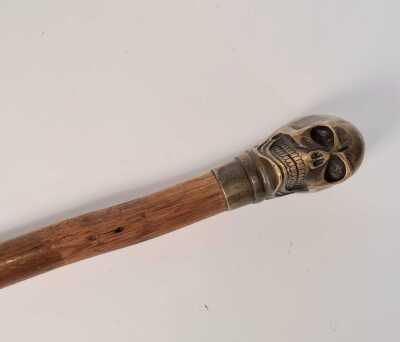 Walking Stick