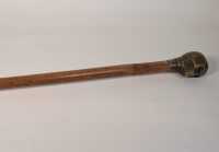 WALKING STICK - 2