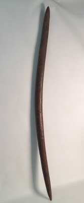 Digging Stick